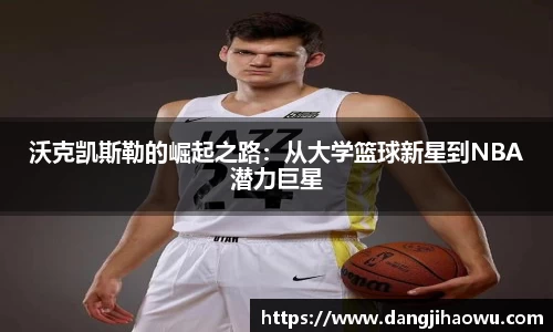 乐动LDSports
