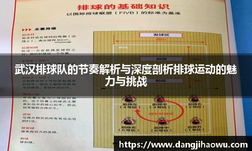 武汉排球队的节奏解析与深度剖析排球运动的魅力与挑战
