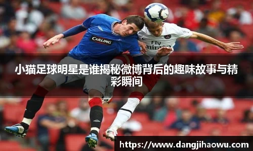 小猫足球明星是谁揭秘微博背后的趣味故事与精彩瞬间